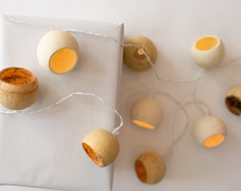 Indoor decorative light garland 15 dried citrus decorations 3m50 with transformer and plug