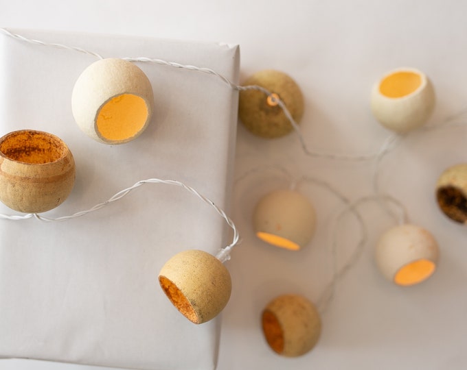 Indoor decorative light garland 15 dried citrus decorations 3m50 with transformer and plug
