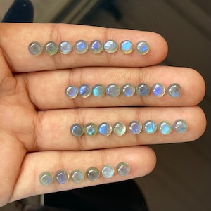 Labradorite cabochon rotondo pietra preziosa lotto da 30 pezzi per la creazione di gioielli pietra di alta qualità