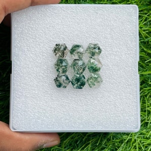 Puede incluir: Una colección de ocho cabujones de ágata musgosa verde y blanca, cada uno cortado en forma hexagonal, expuestos en una caja de espuma blanca.