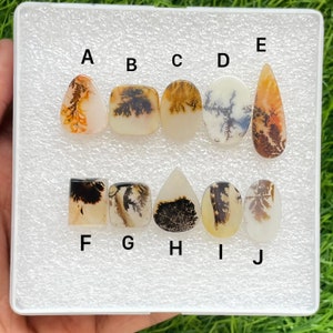 Natural dendritic scenic agate, shajar agate for jewellery making