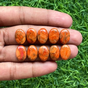 May include: Ten oval-shaped gemstones in shades of orange and brown are displayed. The stones have a polished, glossy finish and a marbled appearance. The gemstones are held in a hand against a backdrop of green grass.