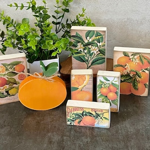 Wooden orange, citrus fruit signs, Summer tiered tray, farmhouse orange decor, vintage fruit, orange blossoms, wood blocks, Florida Oranges