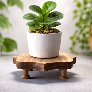 Counter Plant Stand - Etsy