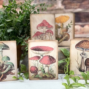 mushroom wood sign, cottagecore tiered tray decor,rustic nature-themed shelf sitters,botanical mushroom mini wood signs,mushroom lover gift