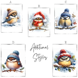 May include: Five illustrations of cartoon birds wearing winter hats and scarves. The birds are perched on branches in snowy scenes. The text "Additional Styles" is written in cursive below the images.