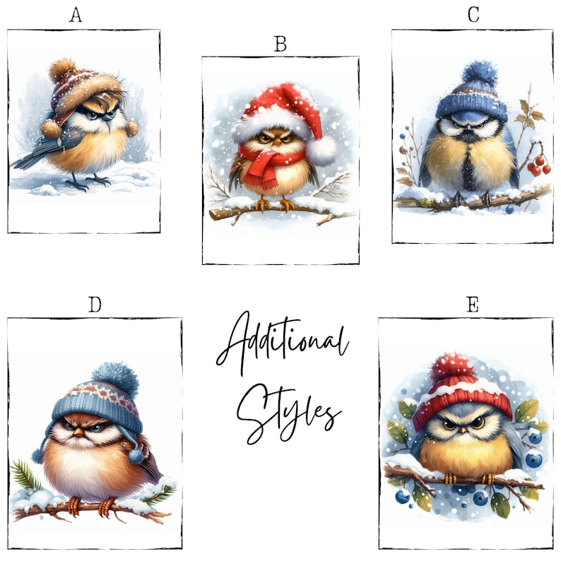 May include: Five illustrations of cartoon birds wearing winter hats and scarves. The birds are perched on branches in snowy scenes. The text "Additional Styles" is written in cursive below the images.