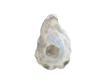Small Oyster Shell Watercolor Print | Fine Art Print