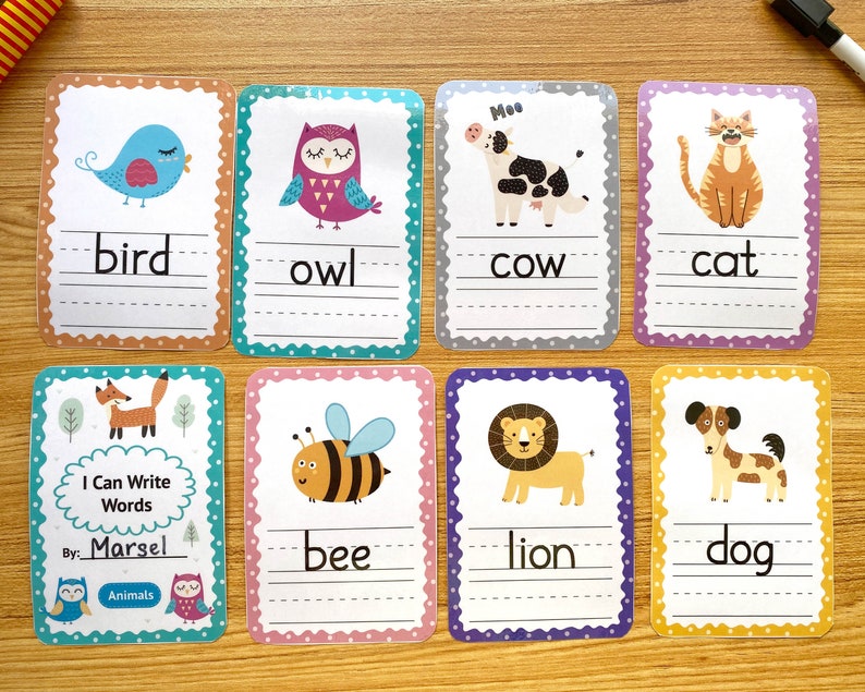 Essay terms flashcards image