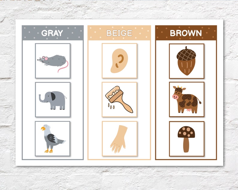 May include: Educational poster featuring color-themed illustrations. The poster is divided into three sections: gray, beige, and brown. Each section displays three images, including a mouse, elephant, eagle, ear, paintbrush, hand, acorn, cow, and mushroom.