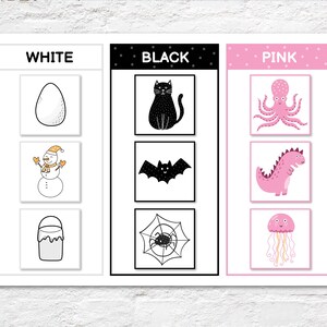 May include: A color learning chart with the words "WHITE", "BLACK", and "PINK". The white section has an egg, snowman, and paint bucket. The black section has a cat, bat, and spider. The pink section has an octopus, dinosaur, and jellyfish.