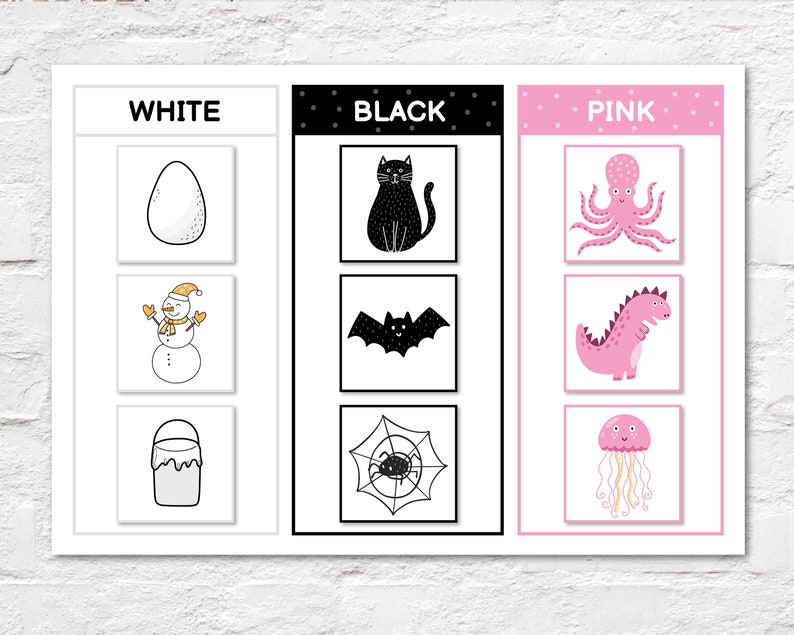 May include: A color learning chart with the words "WHITE", "BLACK", and "PINK". The white section has an egg, snowman, and paint bucket. The black section has a cat, bat, and spider. The pink section has an octopus, dinosaur, and jellyfish.