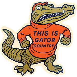 May include: A cartoon alligator wearing an orange shirt and hat, with the text "THIS IS GATOR COUNTRY". The alligator is green and tan with white teeth and claws. The image has a white background.
