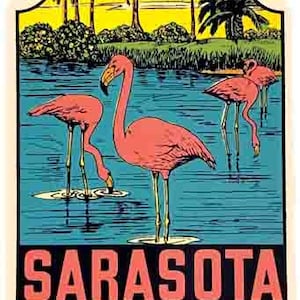 Vintage 1960's stijl Sarasota Florida FL flamingo retro reizen sticker status kaart