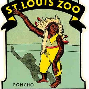 Vintage  1960&#39;s style  St. Louis MO Missouri ZOO Poncho the monkey  retro  travel decal  sticker state map
