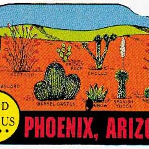 Vintage  1960's style  Phoenix Arizona AZ  land of cactus    retro  travel decal  sticker state map