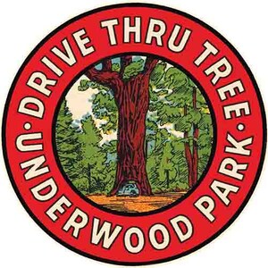 Vintage  1950&#39;s style  Underwood Park Drive Thru Tree Redwoods Leggett CA California      retro  travel decal  sticker state map