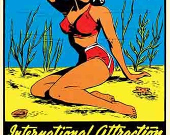 Vintage jaren 1950 stijl Silver Springs FL Florida baden schoonheid retro reissticker sticker staatskaart
