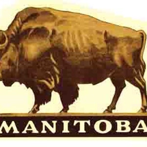 Vintage estilo años 50 Manitoba Canadá parque nacional de bisontes retro viaje calcomanía pegatina mapa estatal