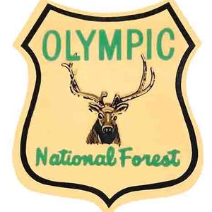 Naklejka podróżna w stylu lat 50. XX wieku w stylu Olympic National Forest Washington WA Seattle Olympia Tacoma, mapa stanu