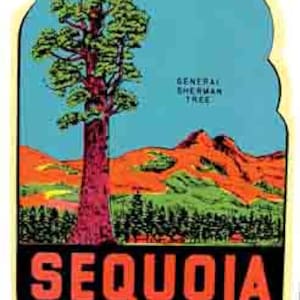 Puede incluir: Una pegatina de viaje vintage con un árbol de secuoya rojo con un cielo azul y montañas verdes en el fondo. El texto "Sequoia National Park California" está impreso en letras rojas y negras sobre un fondo negro. El texto "General Sherman Tree" está impreso en letras blancas sobre un fondo azul.