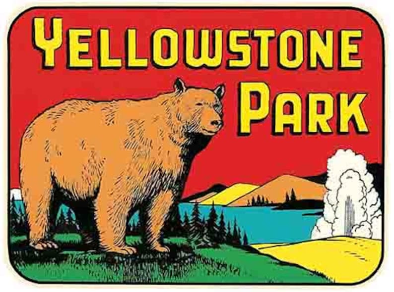 Vintage Postcard 1930's A Park Bear Yellowstone National Park County