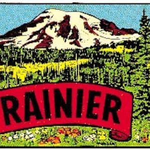 Vintage 1950 's stijl mt. Mount Rainier nationaal park WA WA Washington retro reizen sticker sticker staat kaart