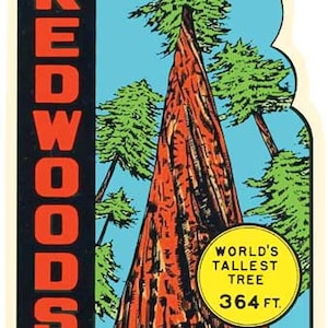 Könnte beinhalten: Ein Vintage-Reisesticker mit einer rot-weiß-blauen Illustration eines riesigen Mammutbaums in Kalifornien. Der Text lautet "Redwoods California" und "World's Tallest Tree 364 ft."