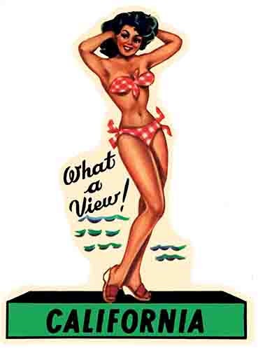 Vintage  1950's style  California bathing beauty what a view hot rod  CA   retro  travel decal  sticker state map