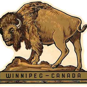 vintage 1950's style Canada Winnipeg bison rétro voyage autocollant autocollant carte d’état