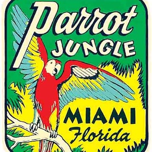 Vintage 50er Jahre Stil Parrot Jungle Miami FL Florida Retro Reise Aufkleber Aufkleber Zustand Karte