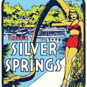 vintage années 1950 style Silver Springs FL Floride chanceux arbre rétro voyage autocollant autocollant carte de l'état autocollant