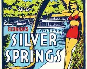 Vintage  1950's style  Silver Springs FL  Florida lucky tree    retro  travel decal  sticker state map
