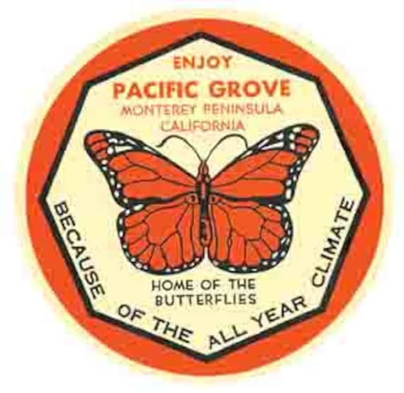 California Butterfly Decal California Butterfly Decal