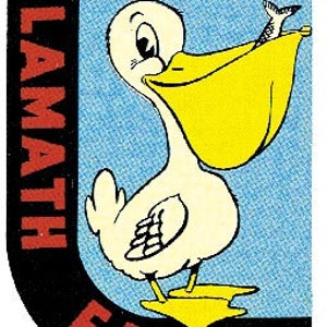 May include: A vintage-style illustration of a pelican with a fish in its beak. The pelican is white with a yellow beak and feet. The illustration is set against a blue background with the words "Pelican Klamath Falls" in black and red lettering.