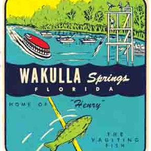 Style vintage des années 1950, Wakulla Springs, Floride, voyage rétro, autocollant, carte de l'état