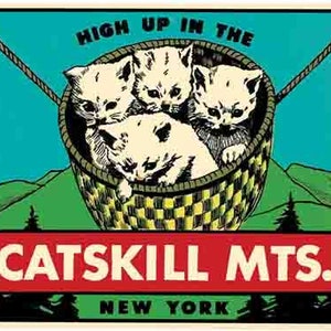 Style vintage des années 1950 Catskill Mountains New York NY Adirondack autocollant de voyage rétro carte de l'état