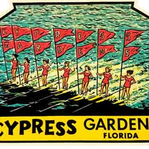 Vintage estilo de 1950 Florida Cypress Gardens esquí acuático niñas línea retro de viaje calcomanía pegatina mapa estatal