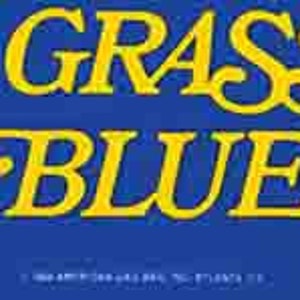 May include: A blue and yellow bumper sticker with the text "MY GRASS IS BLUE" and two illustrations of banjos with strings. The banjos are on a blue background with red flames on either side.