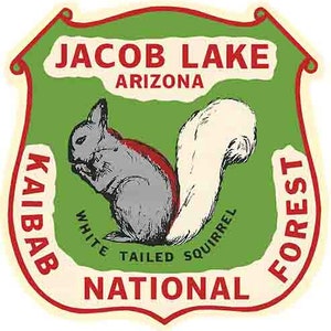 Naklejka podróżna w stylu retro z lat 60. w stylu Kaibab National Forest Jacob Lake AZ Arizona mapa stanu