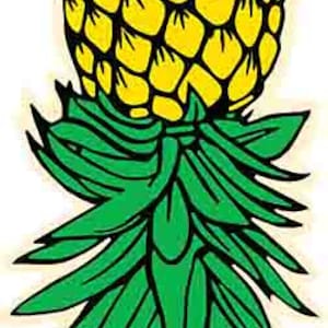 Op de afbeelding: Een gele ananas met groene bladeren. De ananas is een tropisch fruit met een zoet-zure smaak.