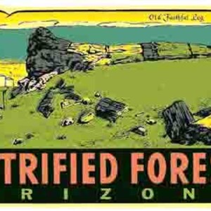 Naklejka podróżna w stylu lat 60. w stylu Petrified Forest Arizona AZ, mapa stanu