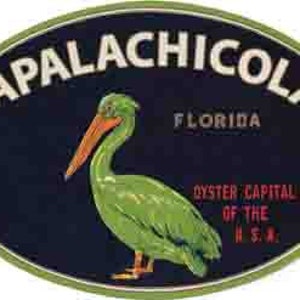 May include: Oval sticker with the word "APALACHICOLA" in white arched text above "FLORIDA" and a green pelican. The text "OYSTER CAPITAL OF THE U.S.A." is below the pelican. The background is dark blue with a green border.