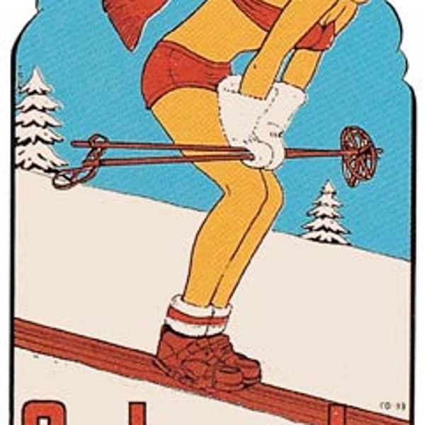 Vintage  1950's style  Colorado CO  Snow Skiing pin-up girl   retro  travel decal  sticker state map