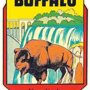Vintage  1950&#39;s style  Buffalo NY  New York  Niagara Falls   retro  travel decal  sticker state map