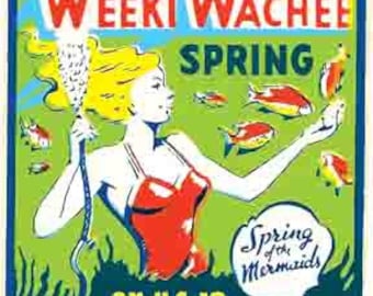 Vintage 1950's Style Weeki Wachee FL Florida Spring Retro