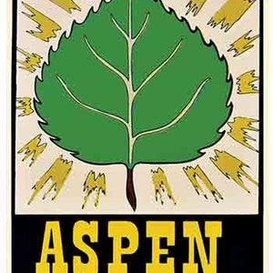 Vintage estilo de 1960 Aspen Colorado hoja de esquí de nieve retro viaje calcomanía pegatina mapa estatal