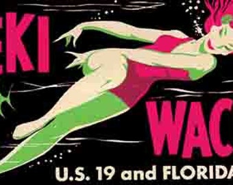 Vintage  1950's style  Weeki Wachee FL  Florida Spring  bumper sticker   retro  travel decal  sticker state map
