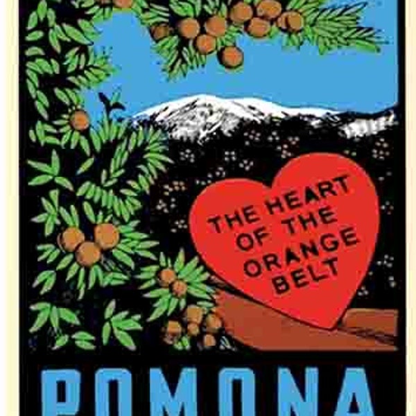 Vintage  1960's style  Pomona  CA  California    retro  travel decal  sticker state map