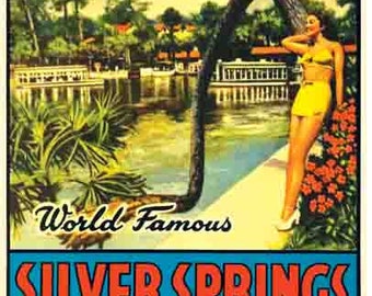 Vintage 1950 Stil Silver Springs FL Florida Baden Schönheit Glück Baum retro Reise Aufkleber Aufkleber Zustand Karte